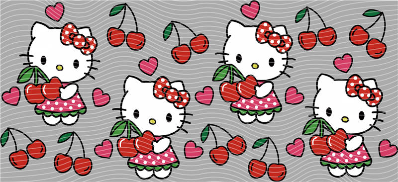 16oz Sanrio-K 23
